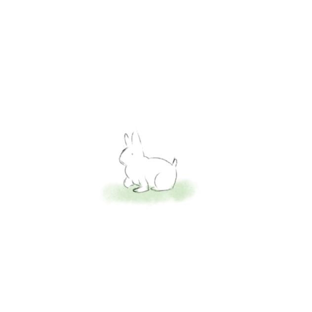 Bunny