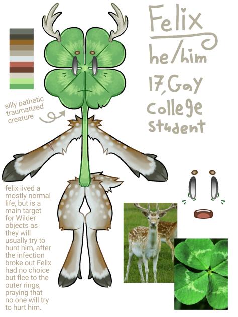 felix, my objectified oc