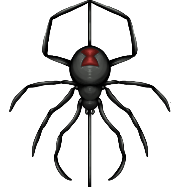 Spider 🕷🕸