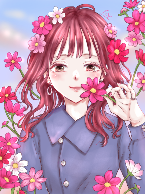 秋桜