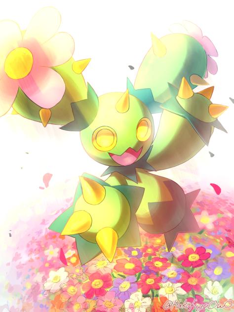 マラカッチ🌸