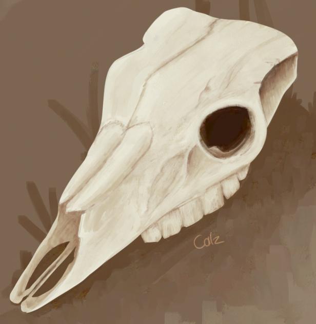 deer skull !!1