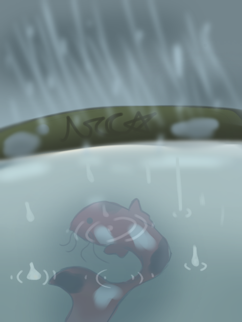 Don’t be koi
