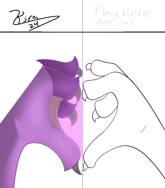 collab with saj