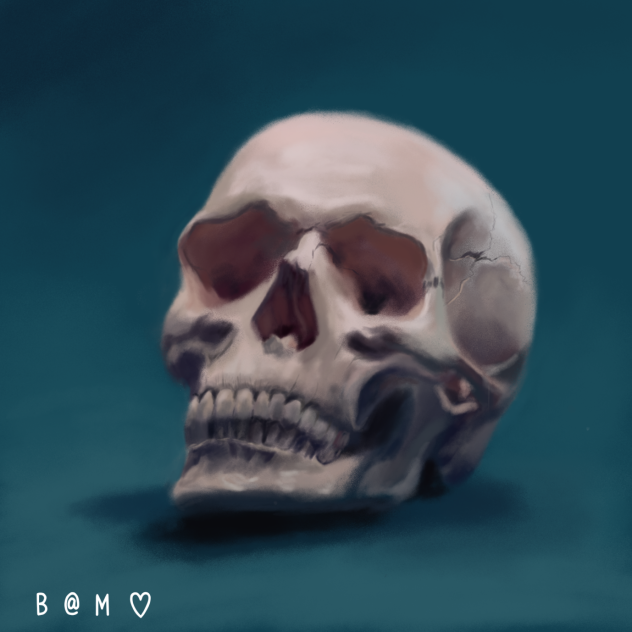 skull💀