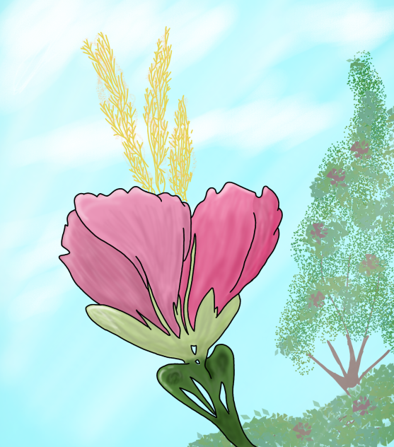 Flower 🌺 - ibisPaint