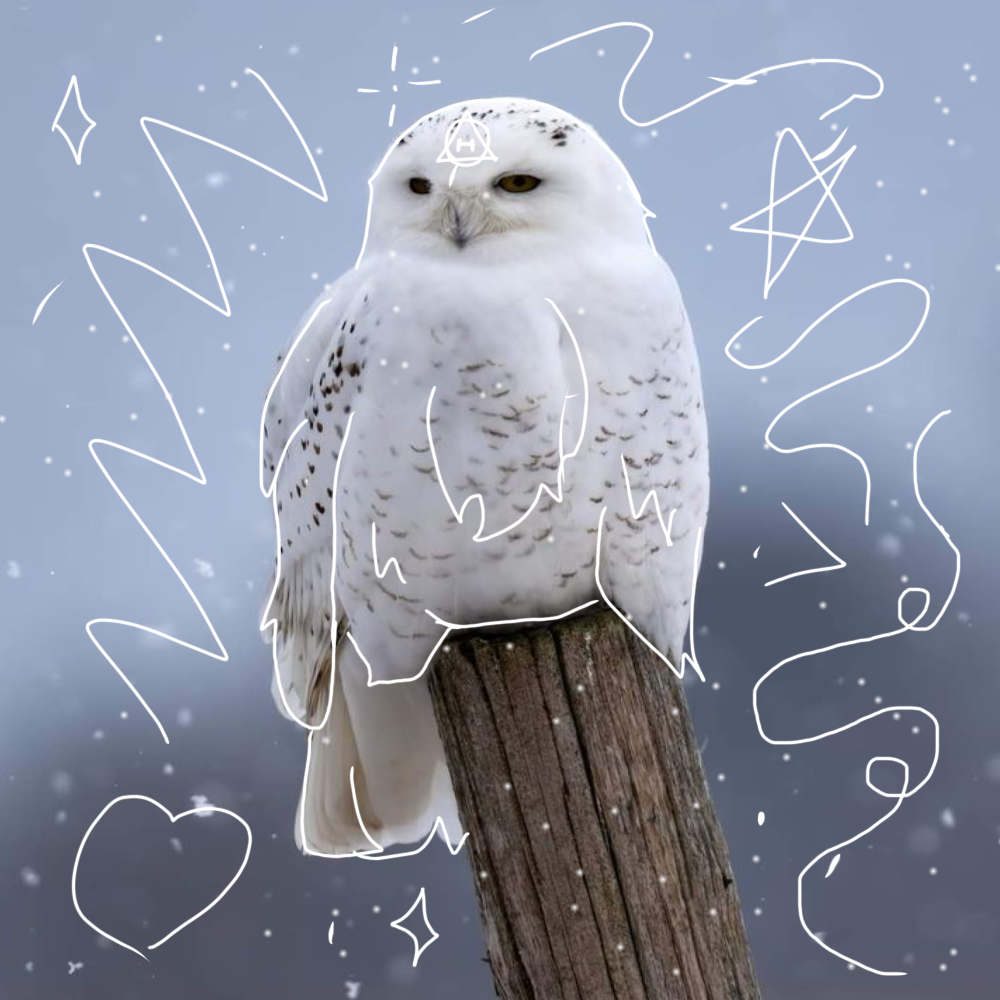 image860232865.png