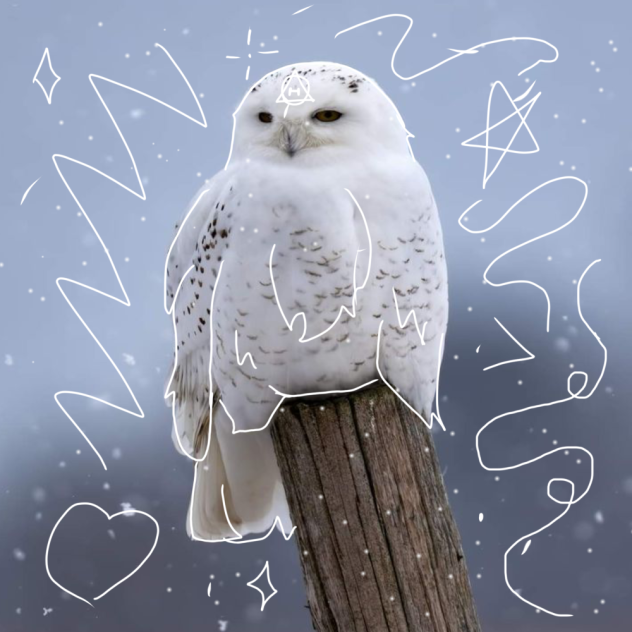Snowy owl therian art✨