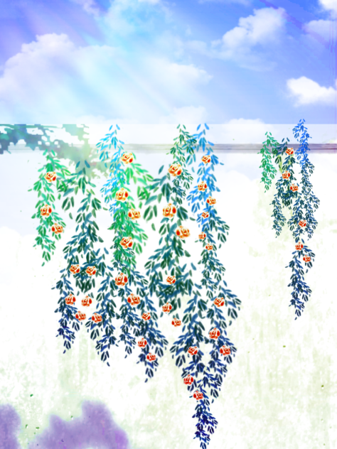 ツル薔薇背景１