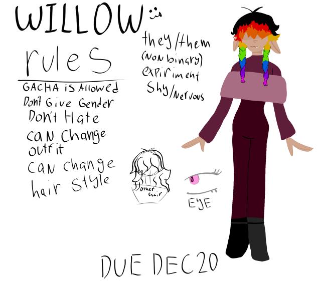 Willow dtyis
