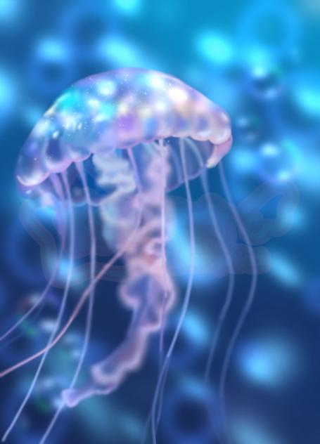 🌊 🪼 ˖ ࣪ ⊹