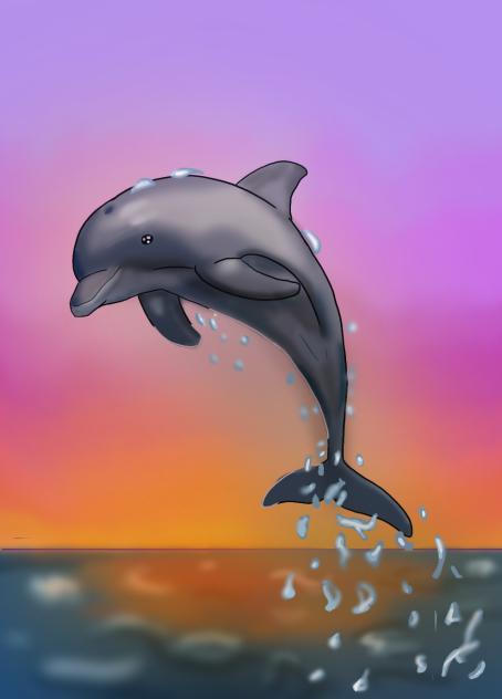 Dolphin