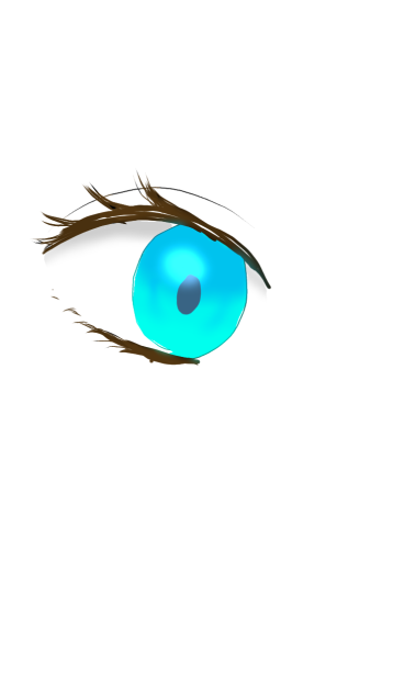 初めてのアイビス　目