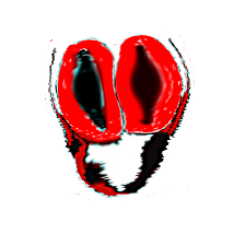 XXX-35