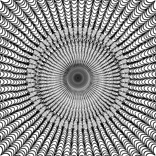 Curve illusion 🧚🏻‍♀️