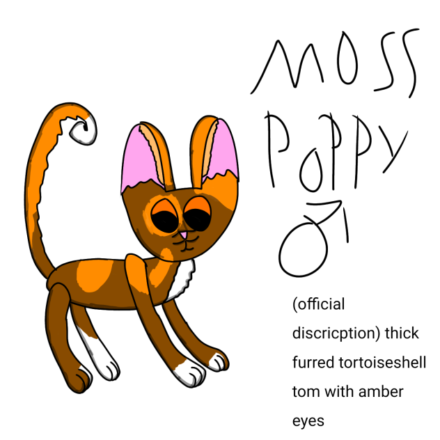 Rise of the cats l Moss Poppy