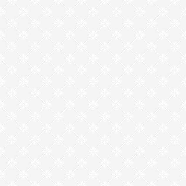 embroidered cotton pattern