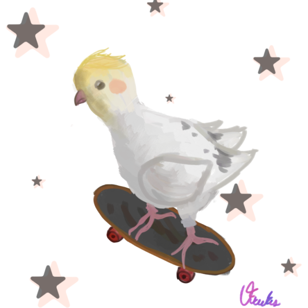 Un periquito en patineta