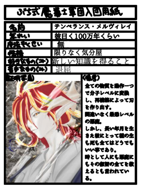 ぶち式魔導士軍団用イラスト