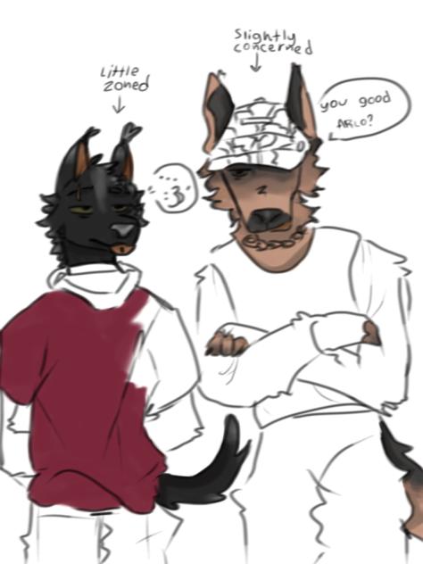 arlo and chief wip