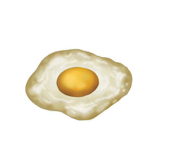fried egg