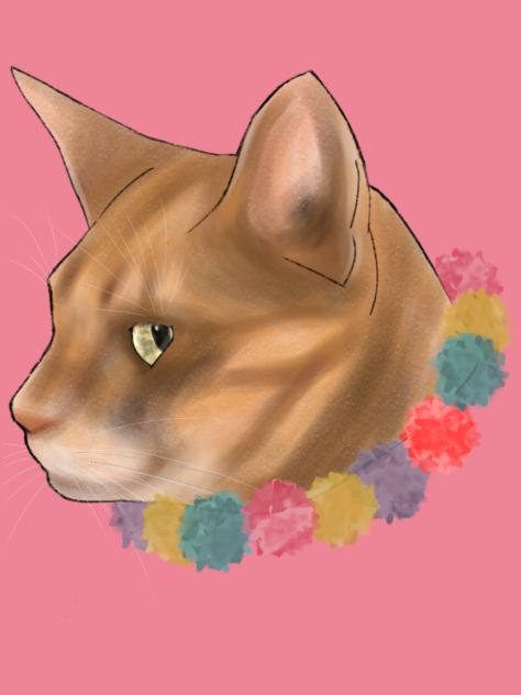 猫の横顔　茶トラ　CAT