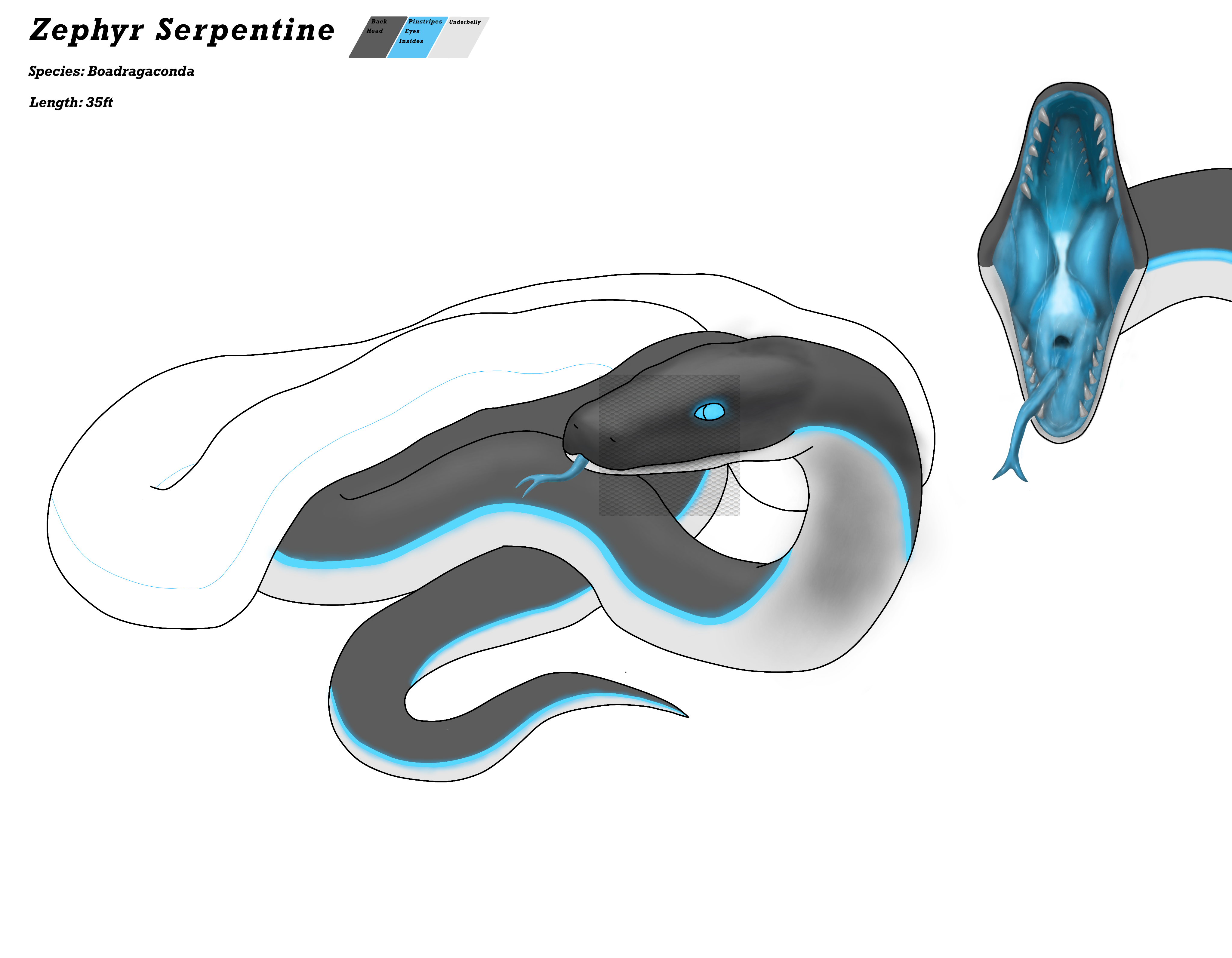 Zephyr’s Ref Sheet4 - ibisPaint