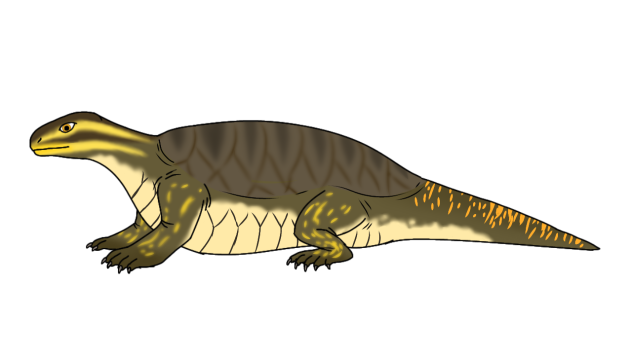 Odontochelys semitestacea render