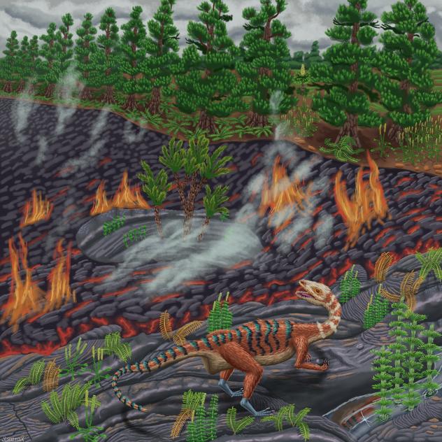 Coelophysis Baur and (CAMP)