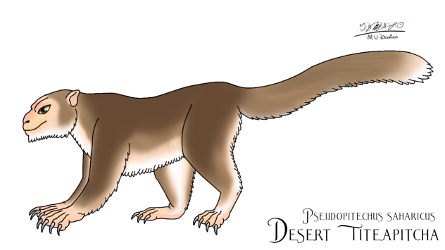 Desert Titeapitcha Female