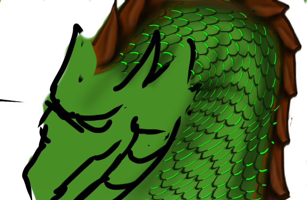 example for spine scales
