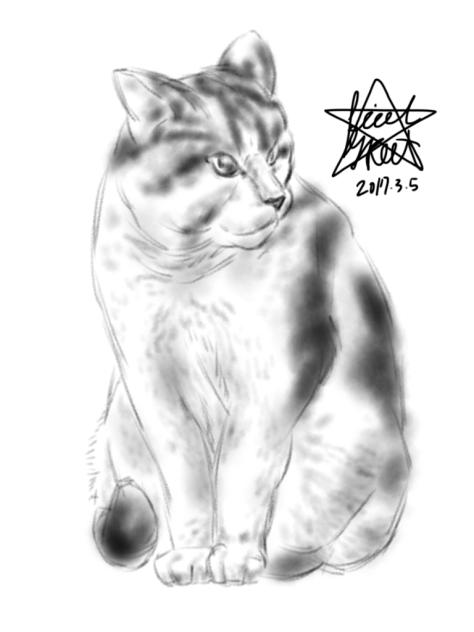 猫3