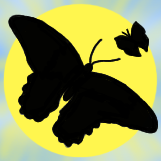 Butterfly Shilouette