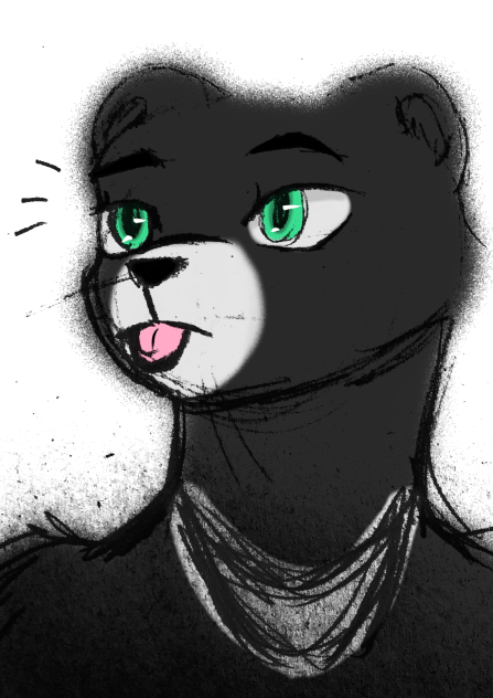 Max the moon bear 🐻🌛