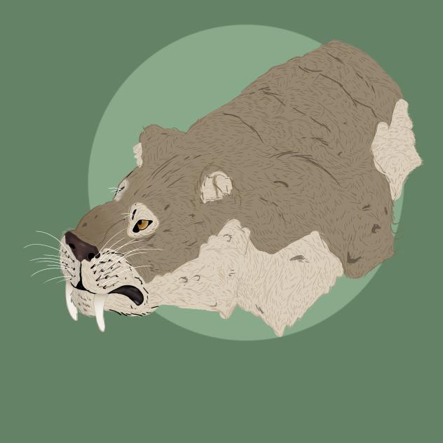 smilodon(aka saber tooth tiger) (redraw)