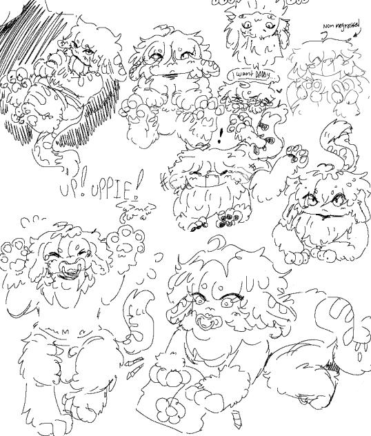 More of Mango