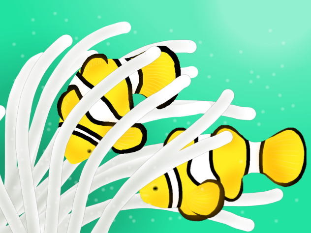 クマノミ再挑戦