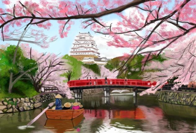 🌸Sakura Bridge🌸
