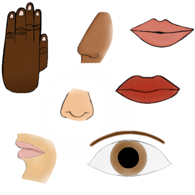 sketchs of features