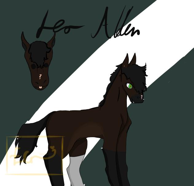 FA FOR ECHO LOCATION YAY