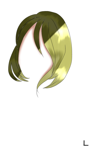 Hair test