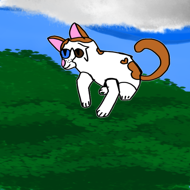 Turkish van cat