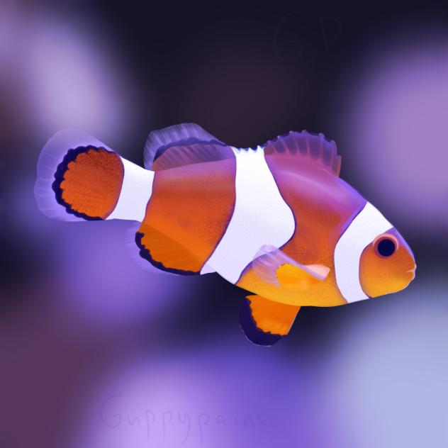 Fish - ibisPaint