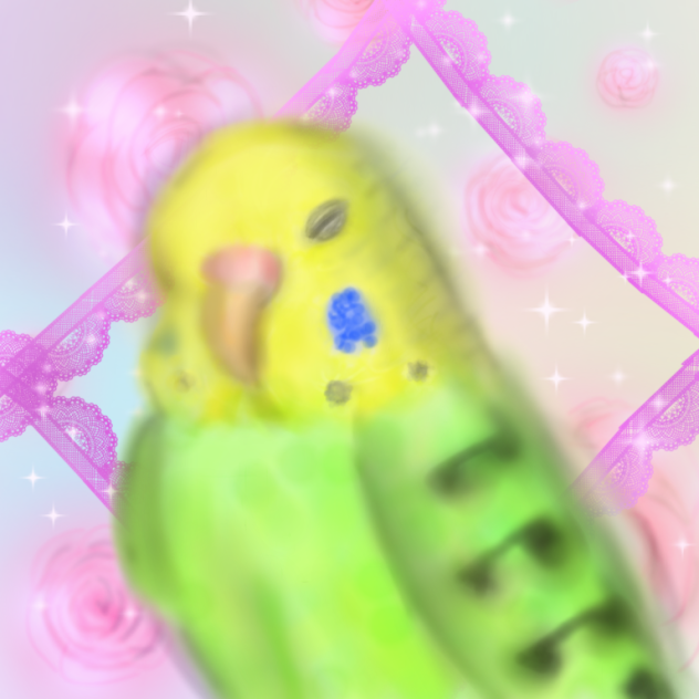 セキセイインコーインコちゃんのモデル
