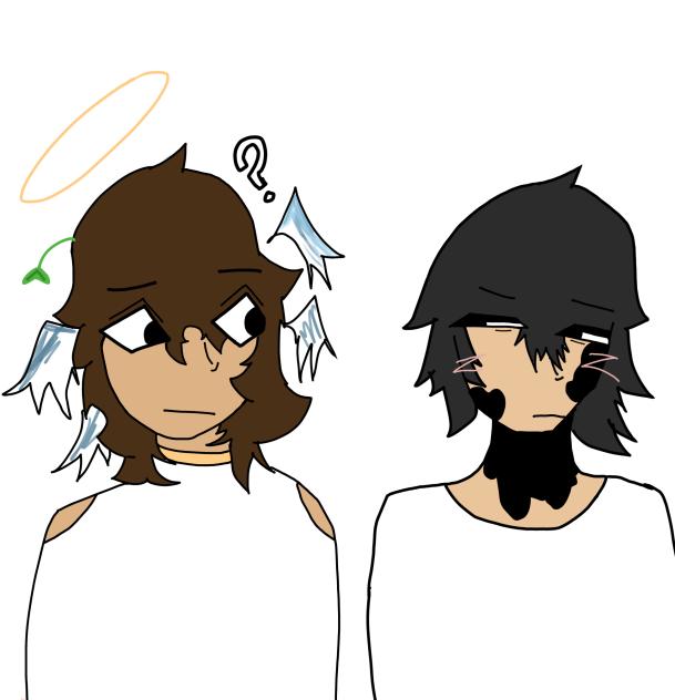 Homos