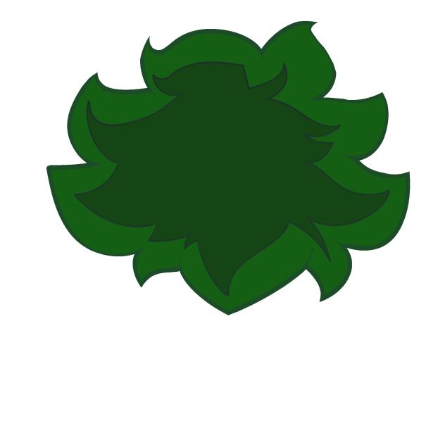 BUSHY OLD ASSET