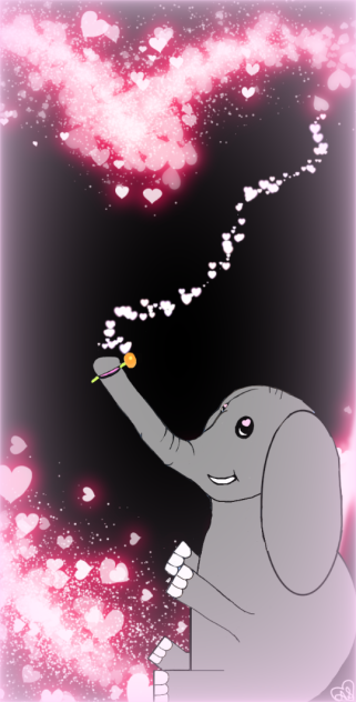 An elephants love