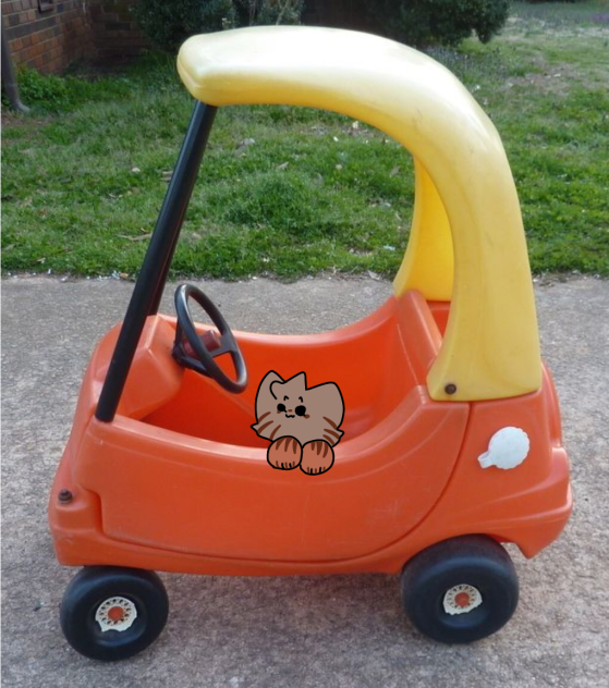 i assume this is what mooni’s cat looks-