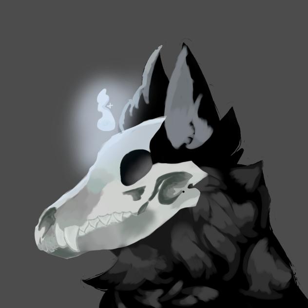 Ask me questions in comments