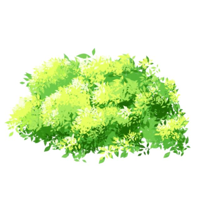 Hedge plants 01 Material